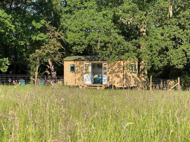 Coachroad Shepherds Huts Петуърт Екстериор снимка