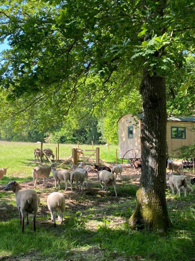 Coachroad Shepherds Huts Петуърт Екстериор снимка